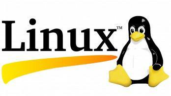 Linux (GNU/Linux operatsion tizim yadrosi) haqida qiziqarli faktlar